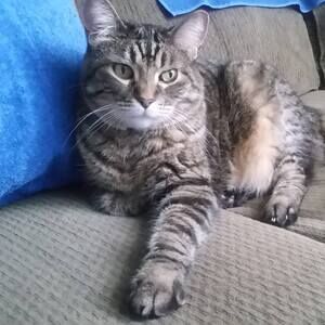 Meet your Posher, Loran